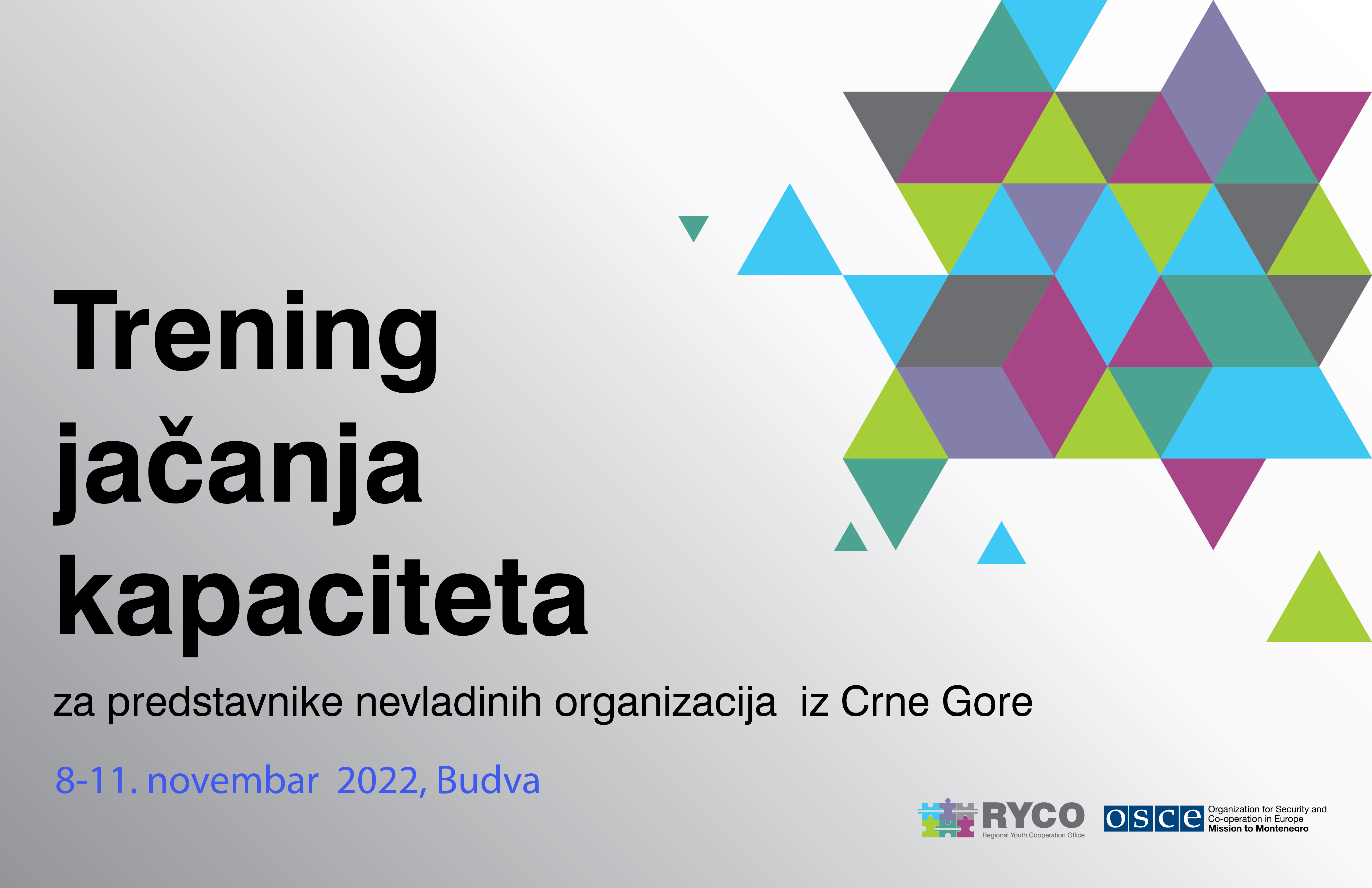 RYCO Open Call for Capacity Building Training for CSOs from Montenegro